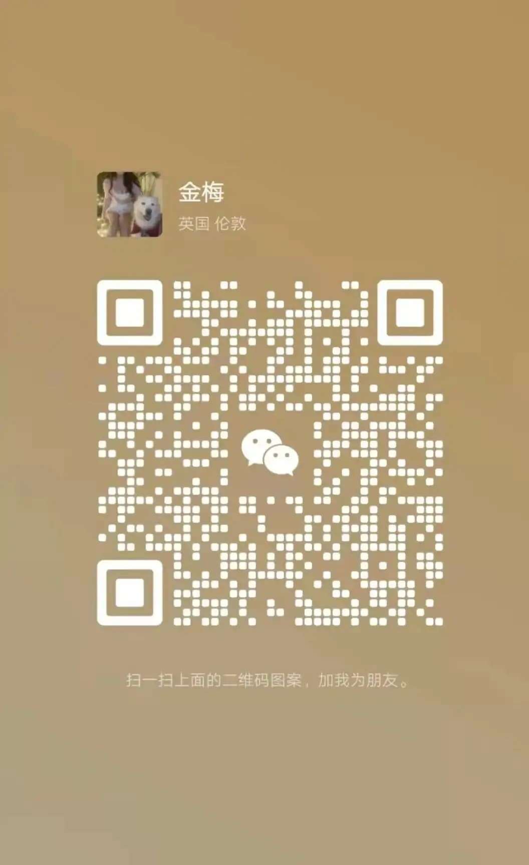 qr.jpg